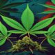 AI-generated image to illustrate For Smoke a J's content.