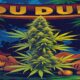 AI-generated image to illustrate For Smoke a J's content.